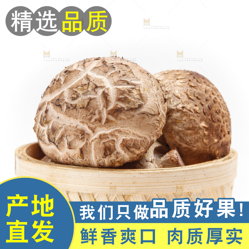 篮子里装着香菇