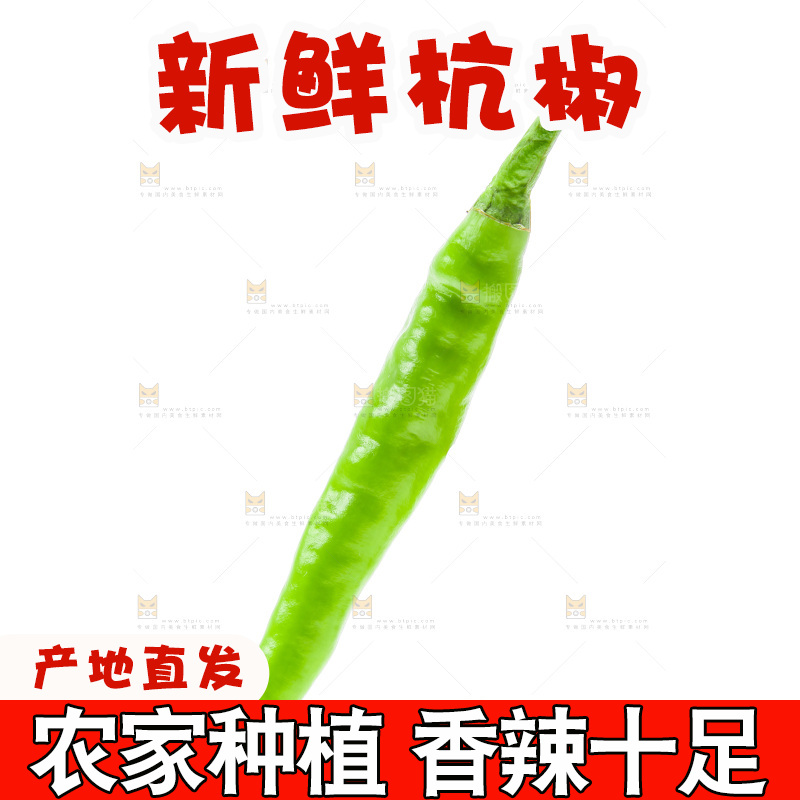 白底上放着杭椒