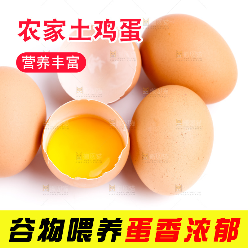 新鲜土鸡蛋放在白底上