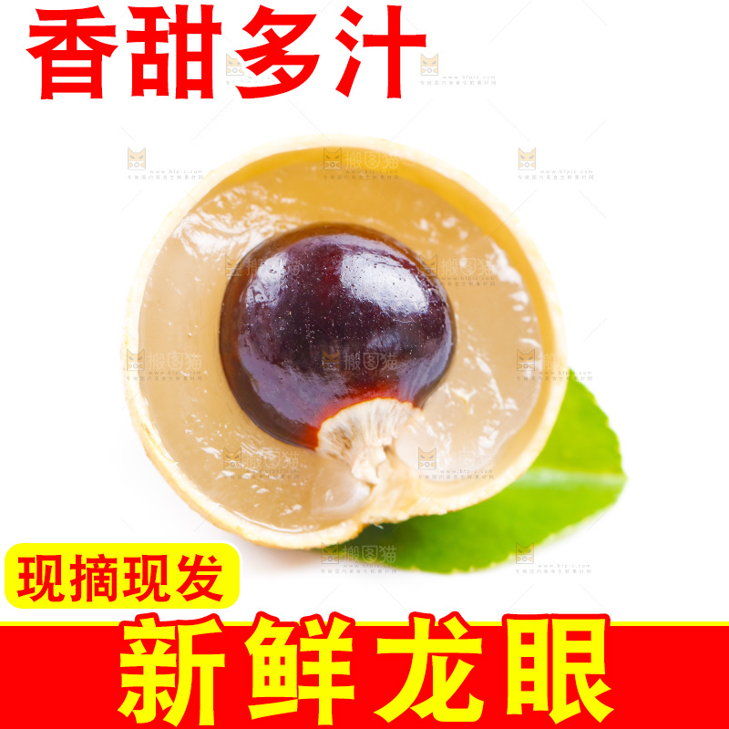 新鲜龙眼放在白底上