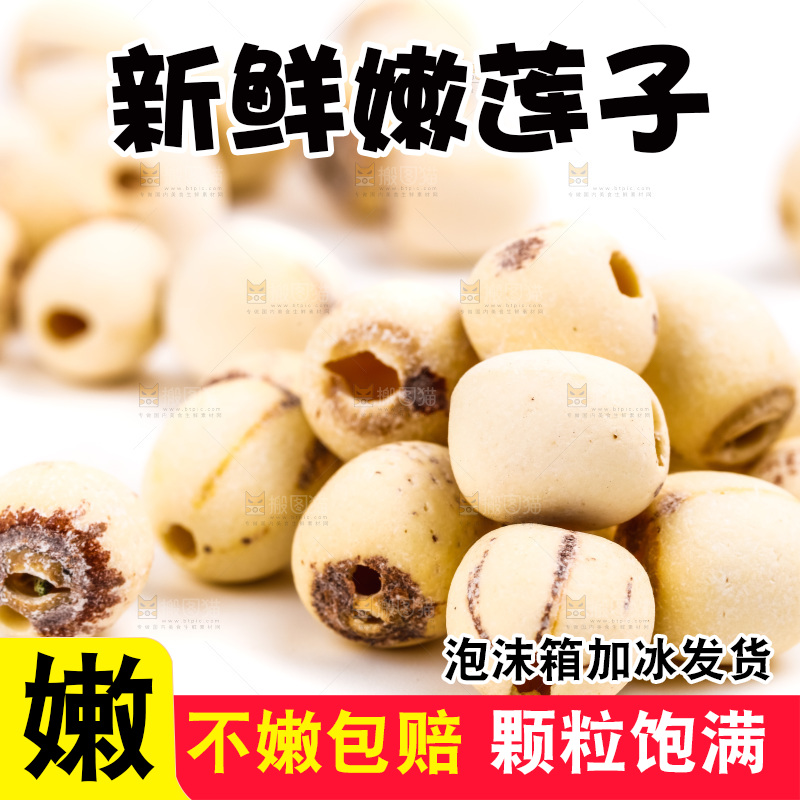 白底上的莲子