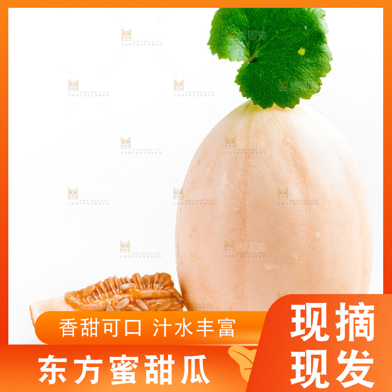 山东东方蜜瓜放在白底上