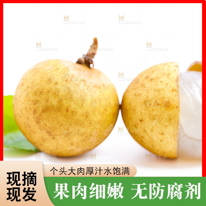 白底上的龙眼