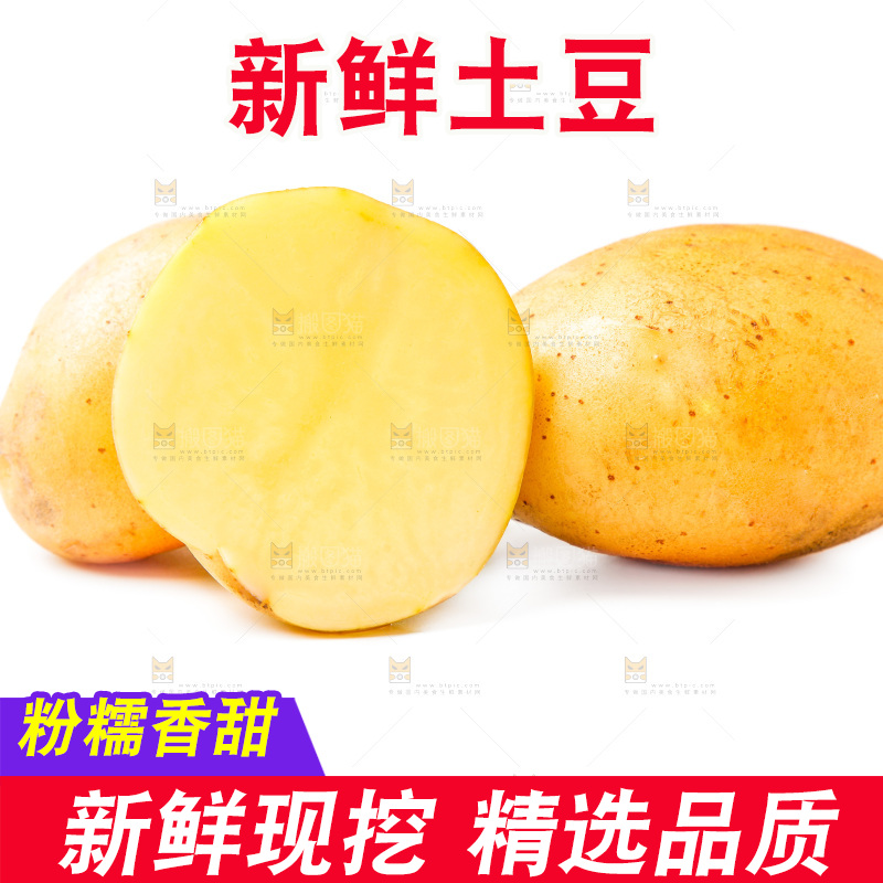 白底上的土豆