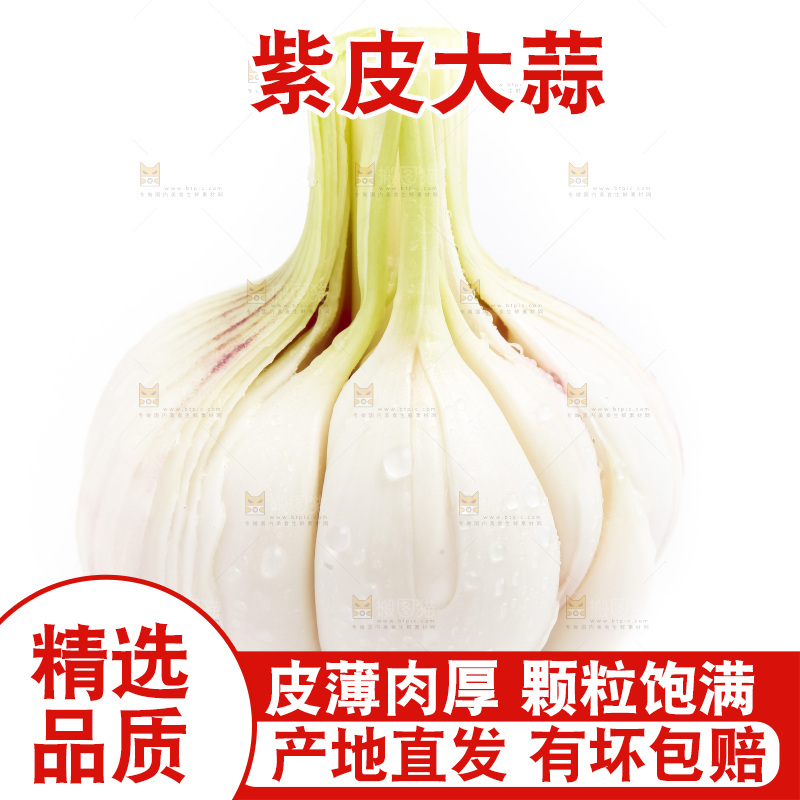 白底上放着新鲜大蒜