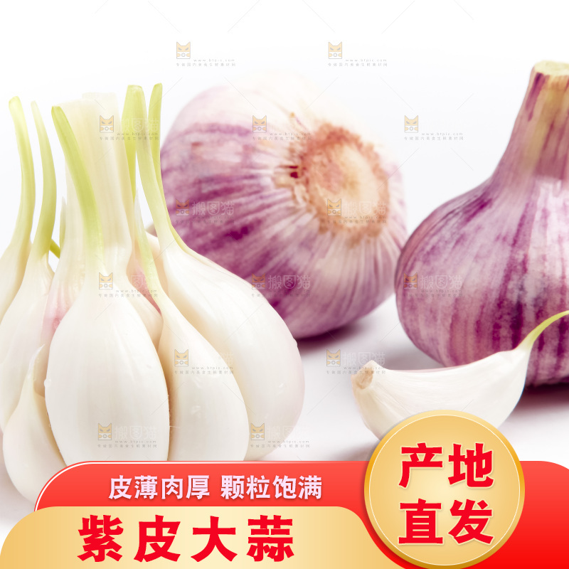 白底上放着多瓣蒜