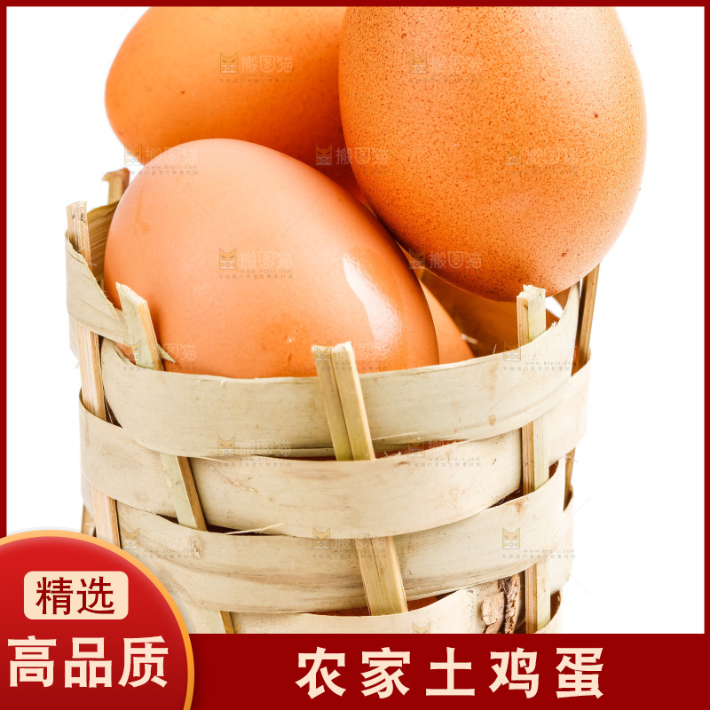 白底上放着散养鸡蛋