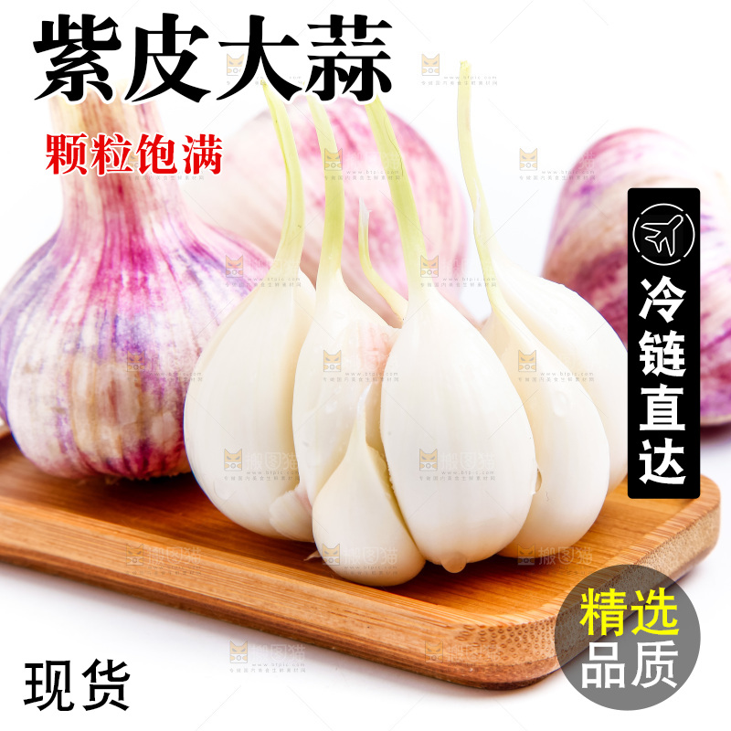 紫皮大蒜放在白底上