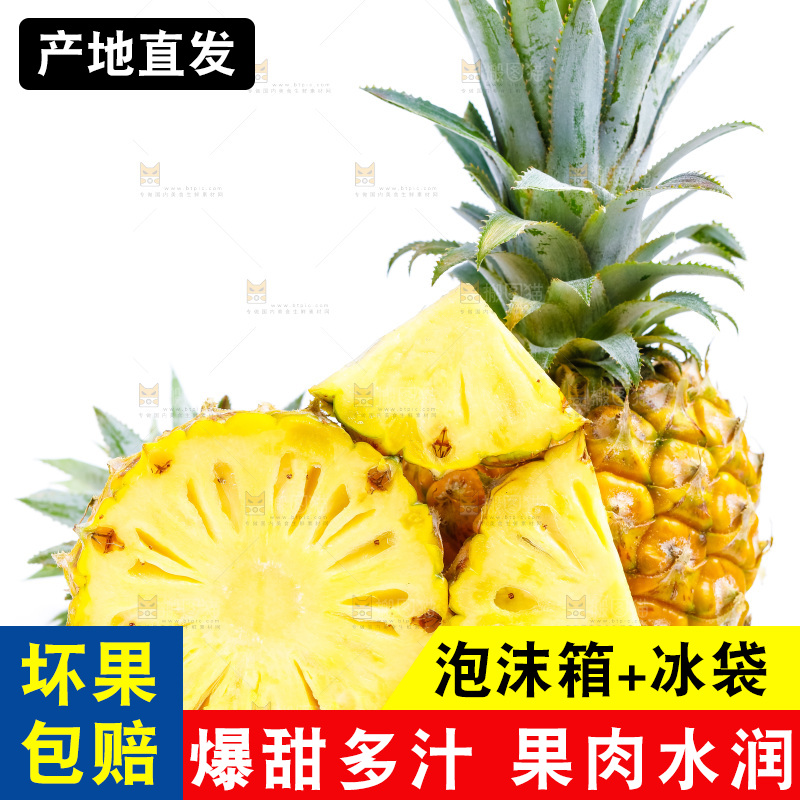 白底上放着新鲜菠萝