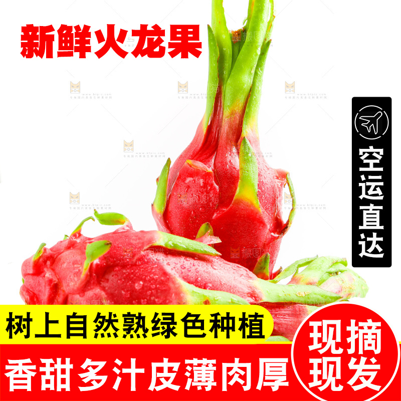 白心火龙果放在白底上
