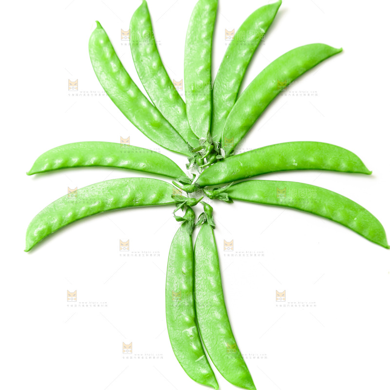 浅底上的荷兰豆