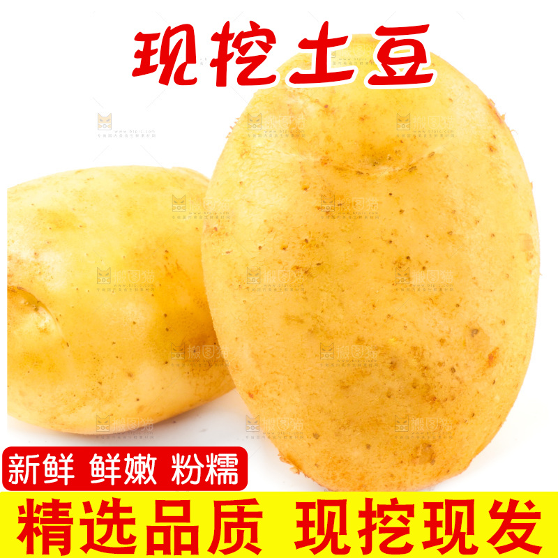 白底上的新鲜土豆