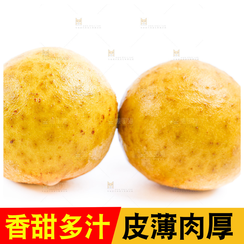 白底上的龙眼