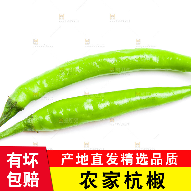 白底上放着杭椒