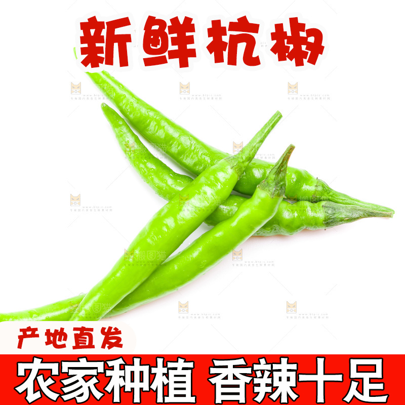白底上放着杭椒