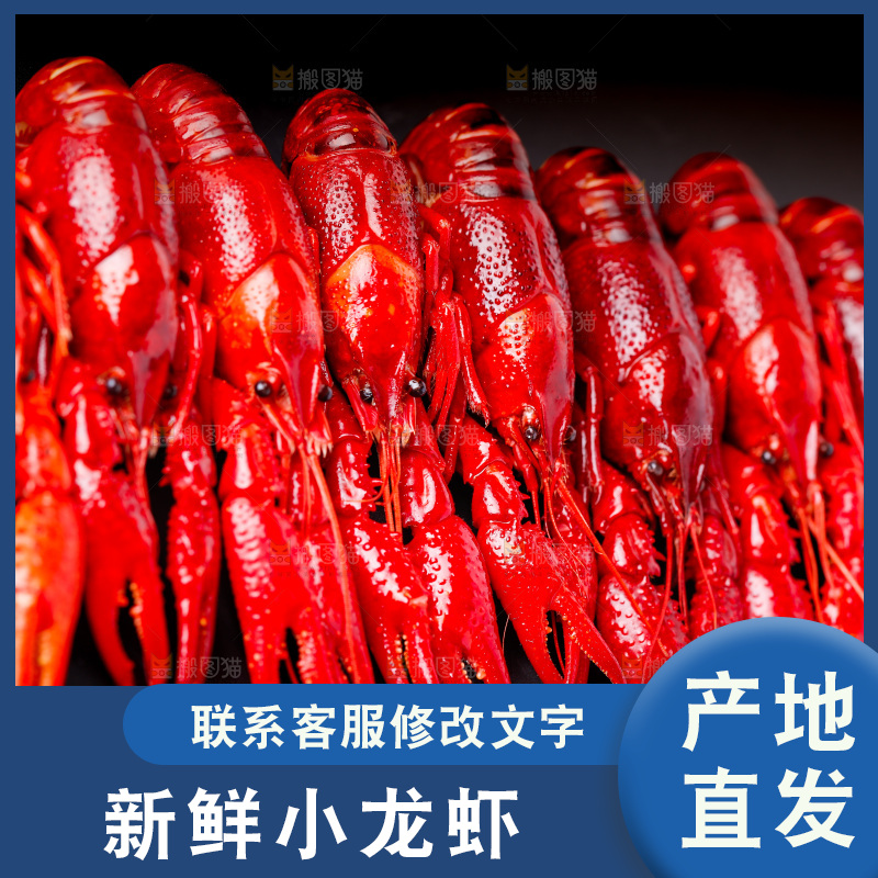 黑底上摆放着秘制小龙虾