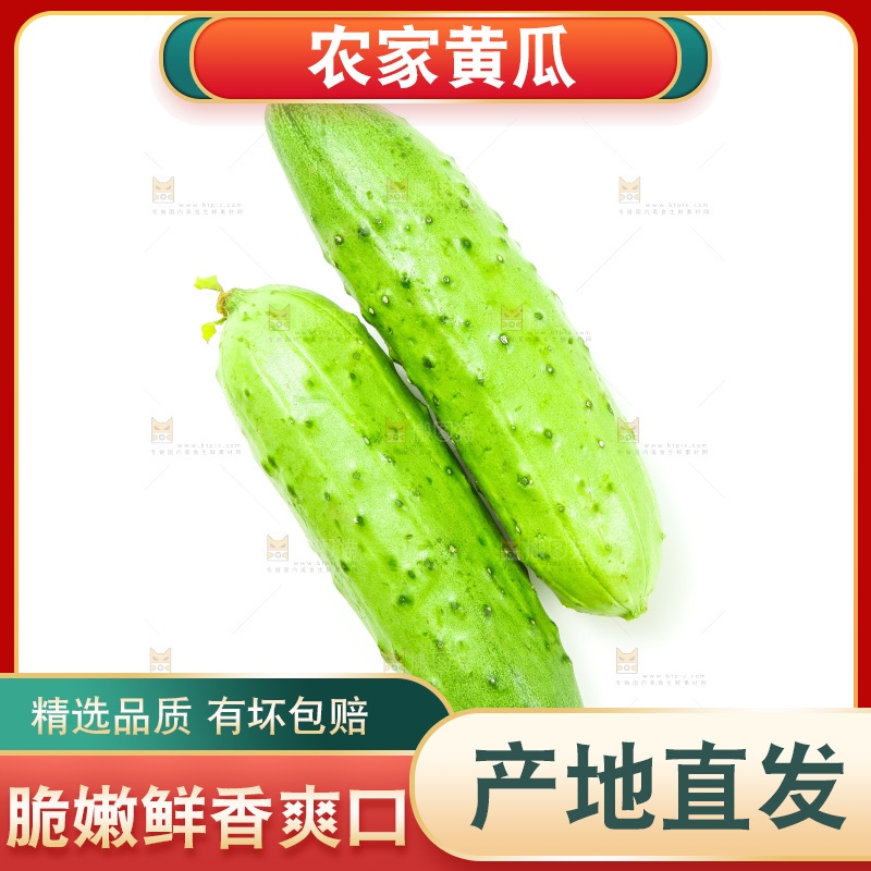 白底上放着旱黄瓜