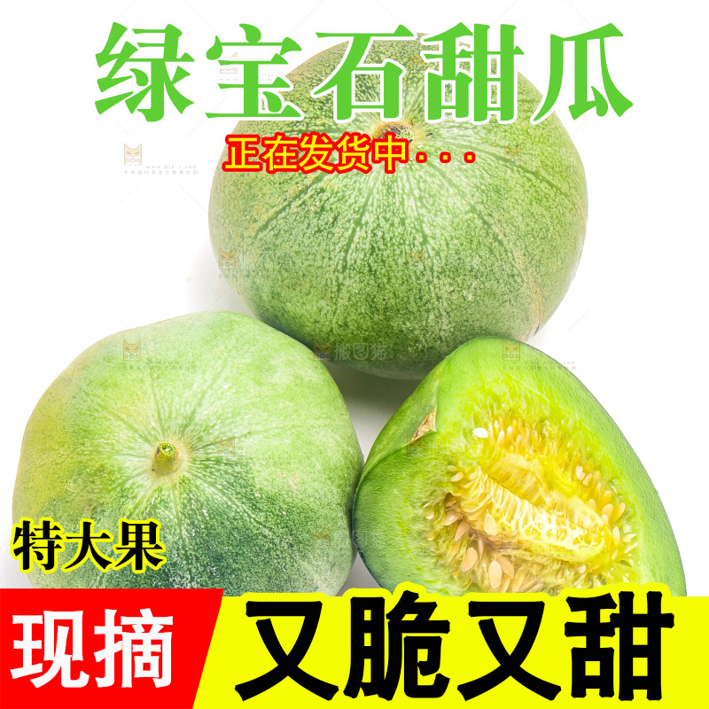 白底上放着山东绿宝甜瓜