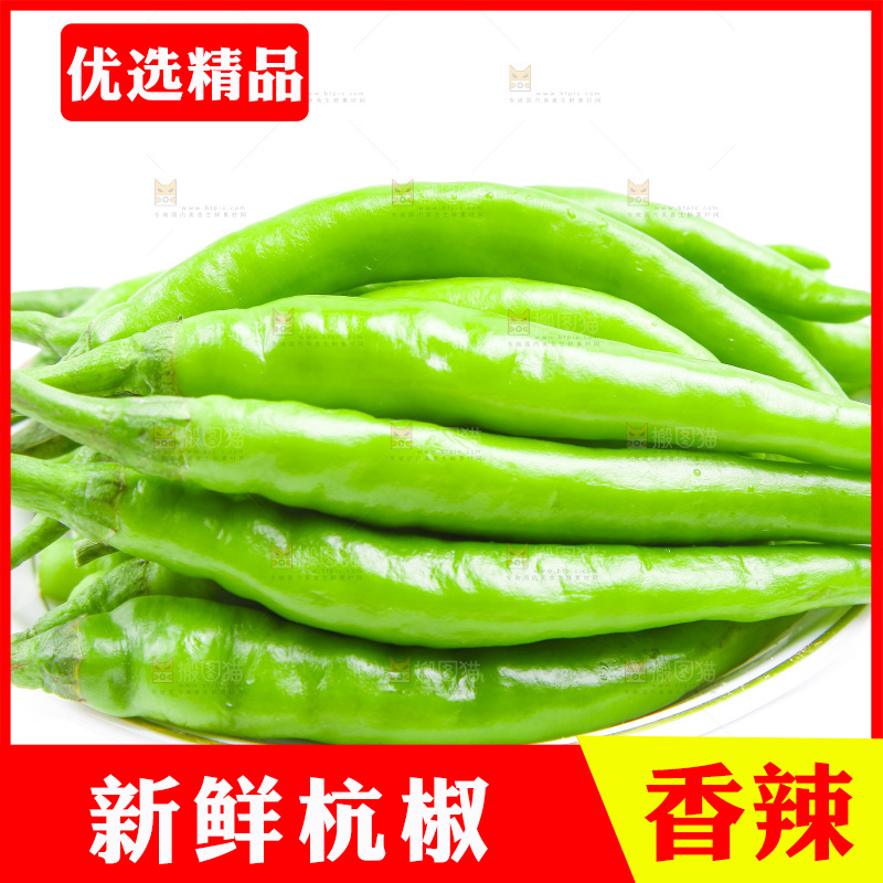 白底上放着杭椒