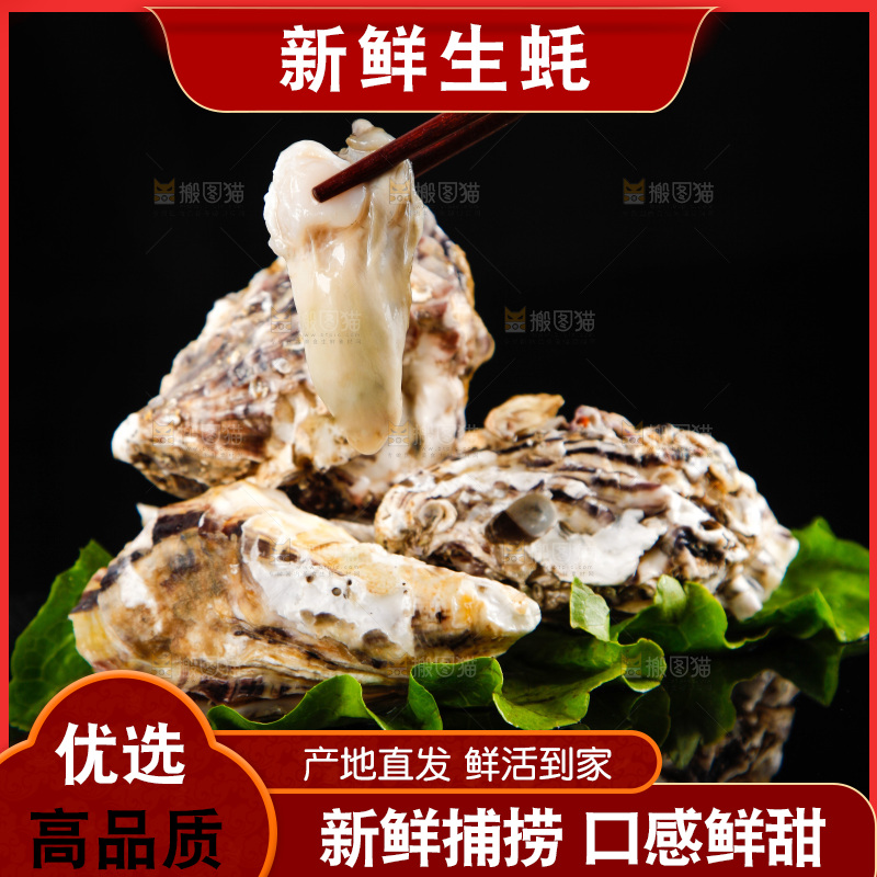 黑底上放着生蚝