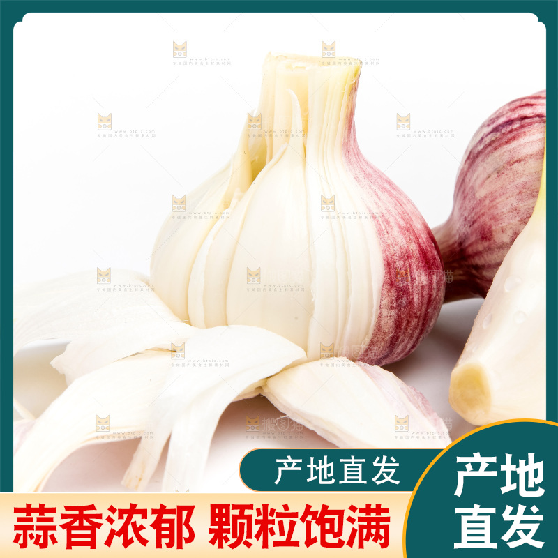 白底上的大蒜