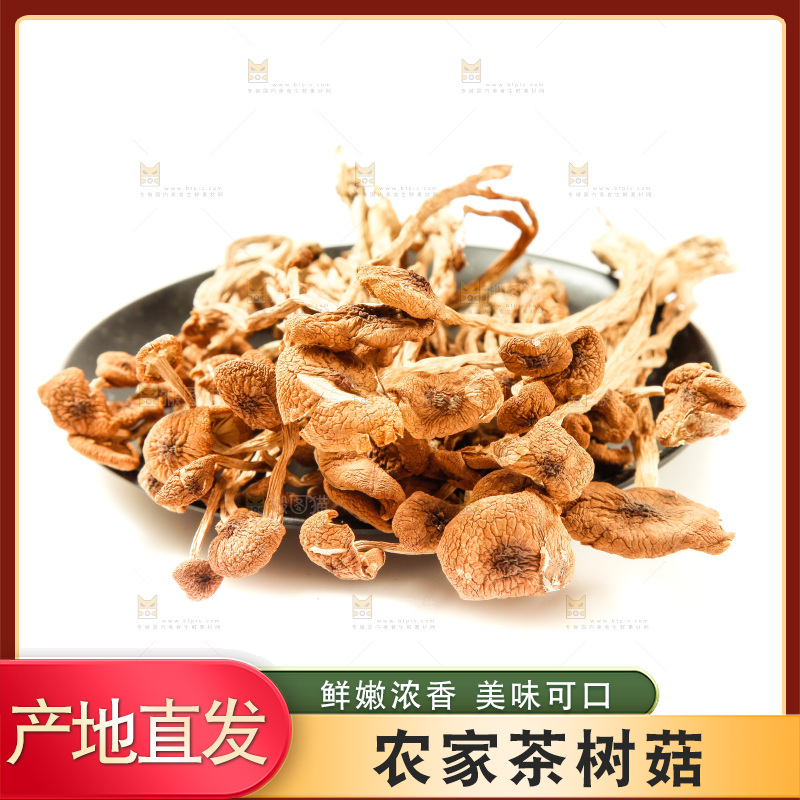 白底上的茶树菇