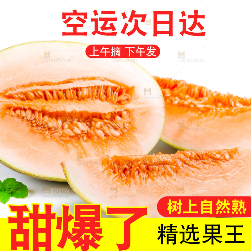 新鲜哈密瓜放在白底上