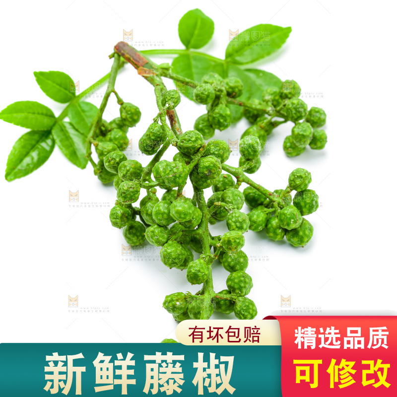 白底上的新鲜藤椒