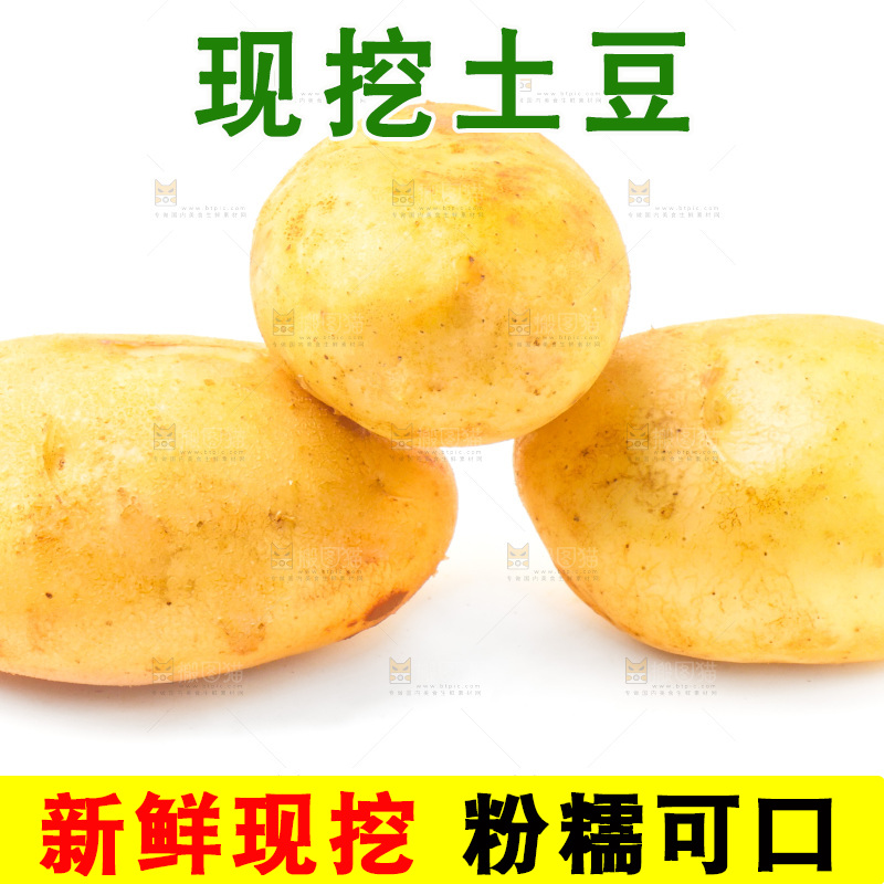 白底上的新鲜土豆