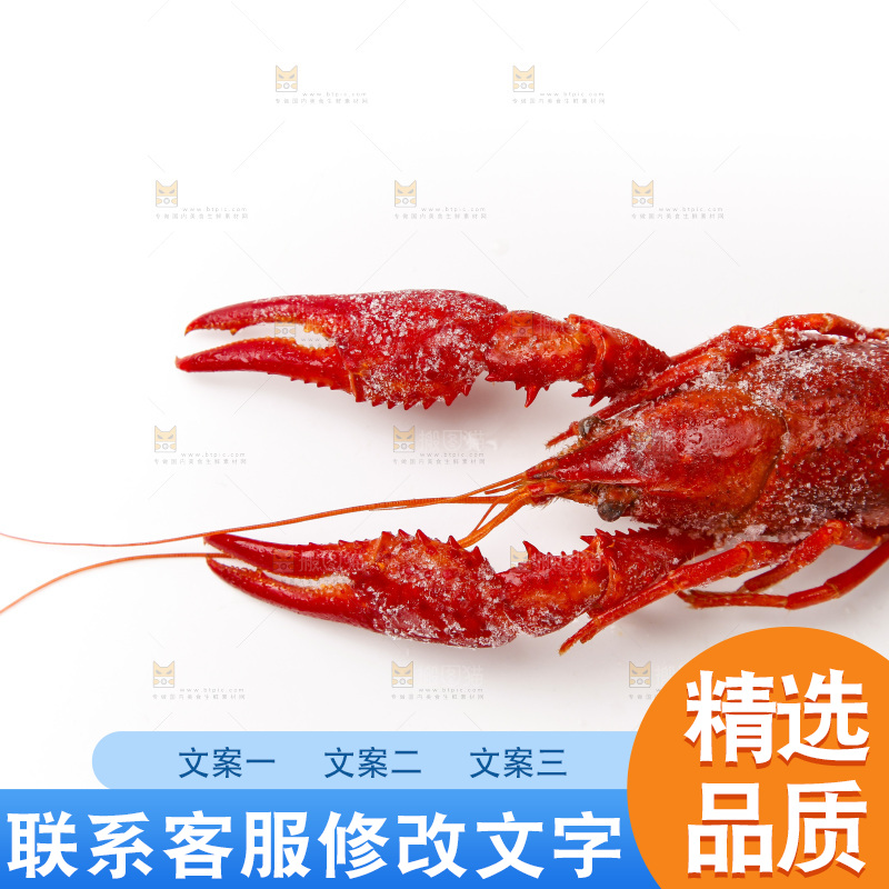 白底上的小龙虾