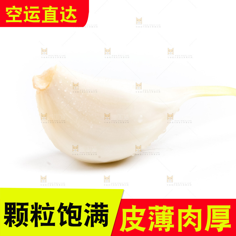紫皮大蒜放在白底上