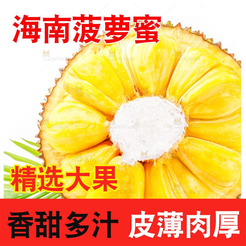 白底上的海南菠萝蜜