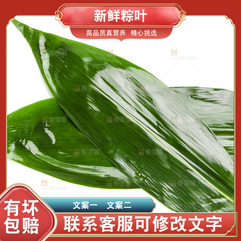 新鲜粽叶放在白底上