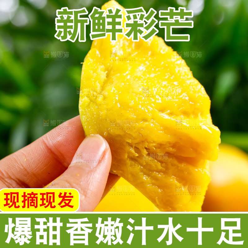 手拿新鲜彩芒