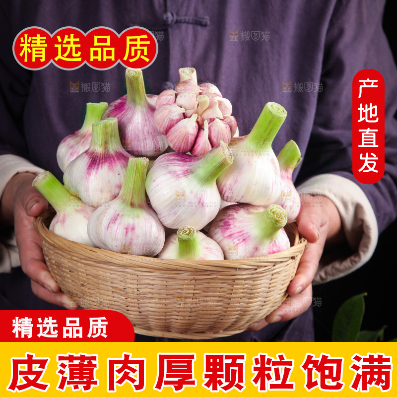 手里端着一篮紫皮湿蒜