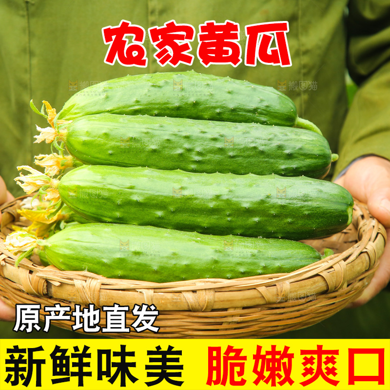 手里端着一篮水果黄瓜