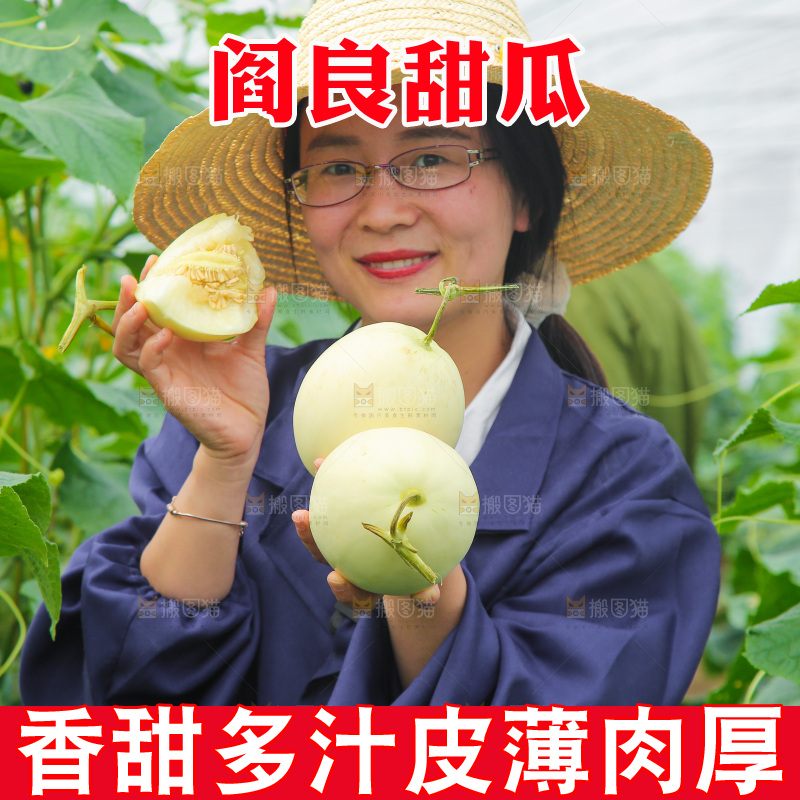 手里拿着阎良甜瓜