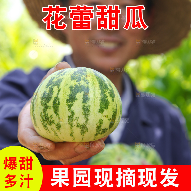手里拿着花皮甜瓜