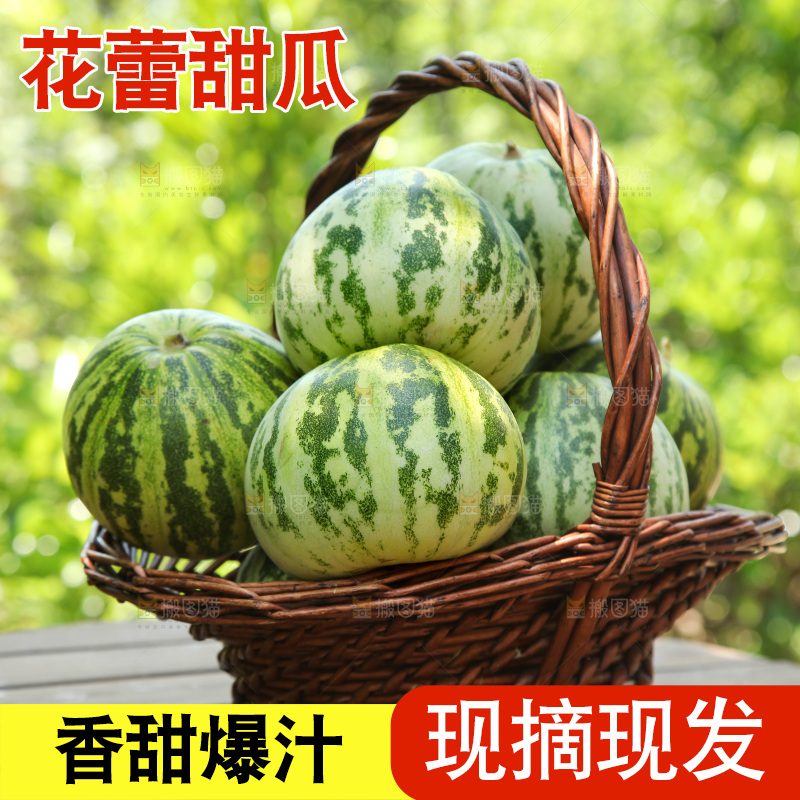 一篮花蕾甜瓜