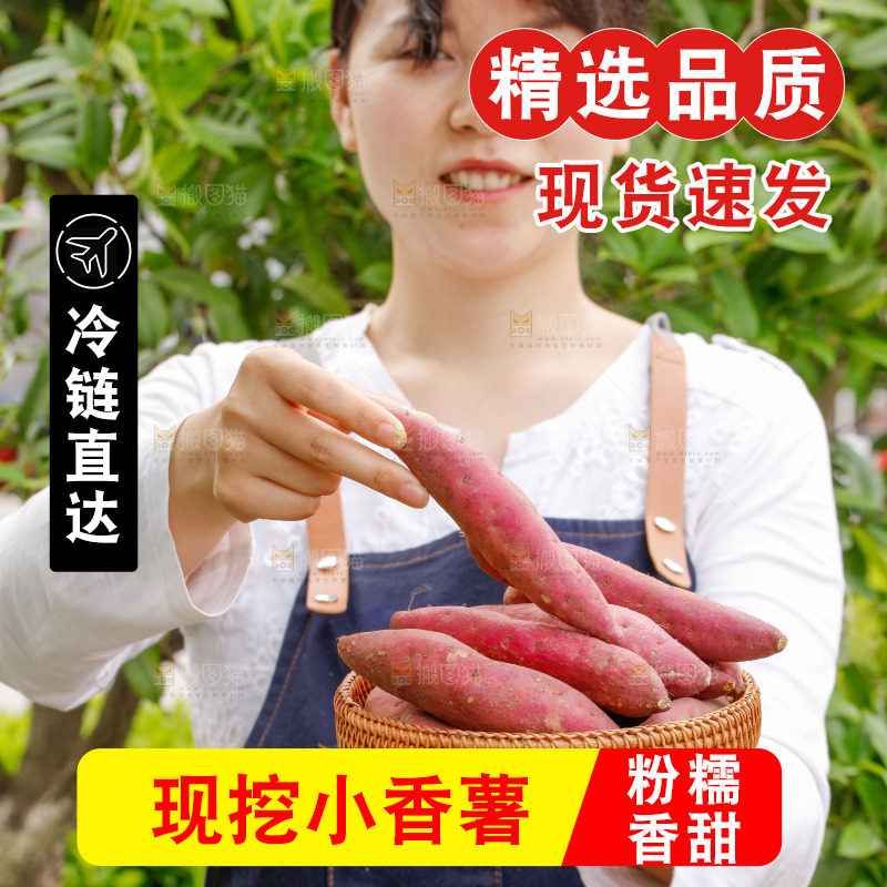 手里端着一篮小香薯