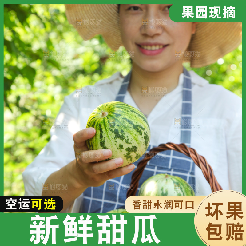 手里拿着香瓜