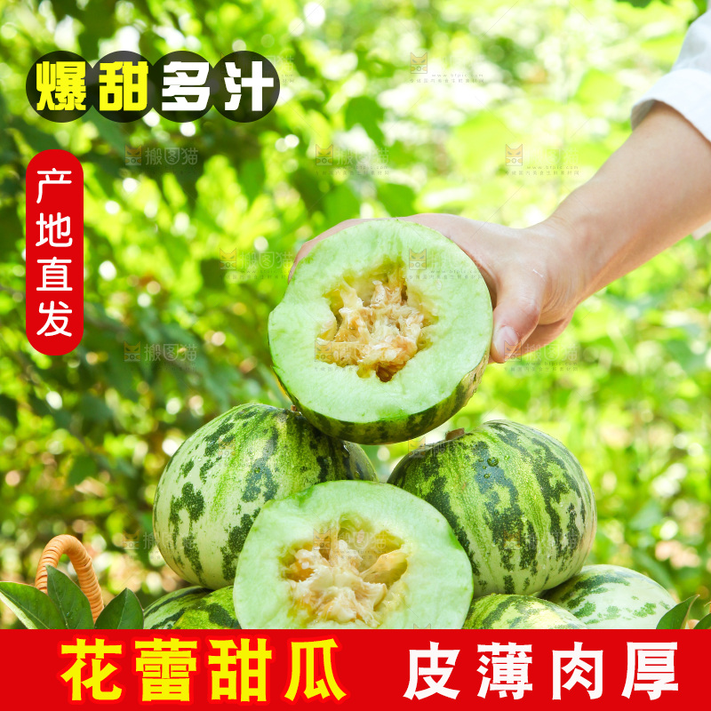 手里拿着花蕾香瓜
