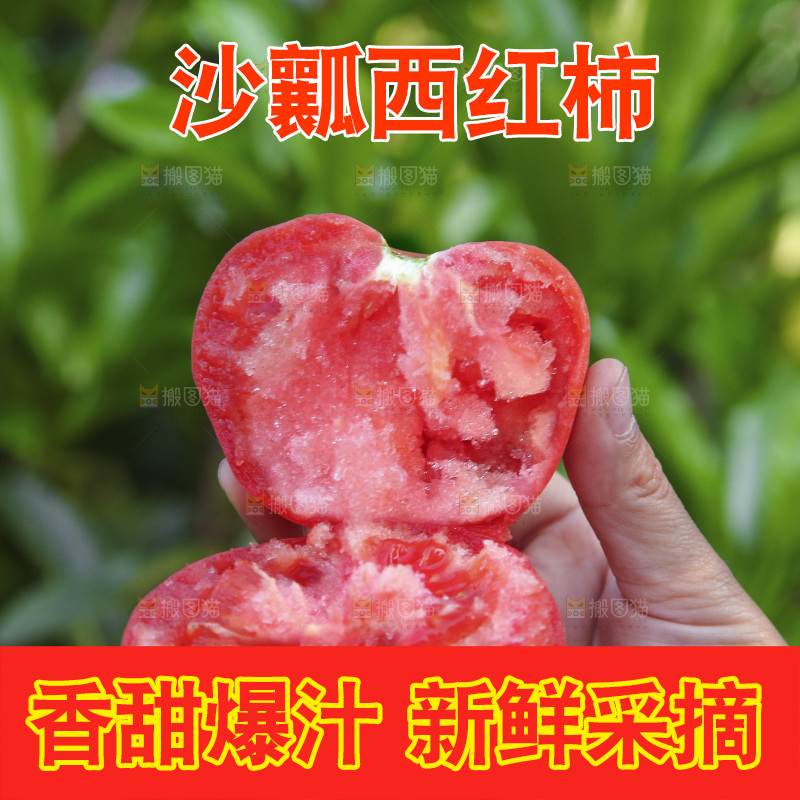 手里拿着沙瓤番茄