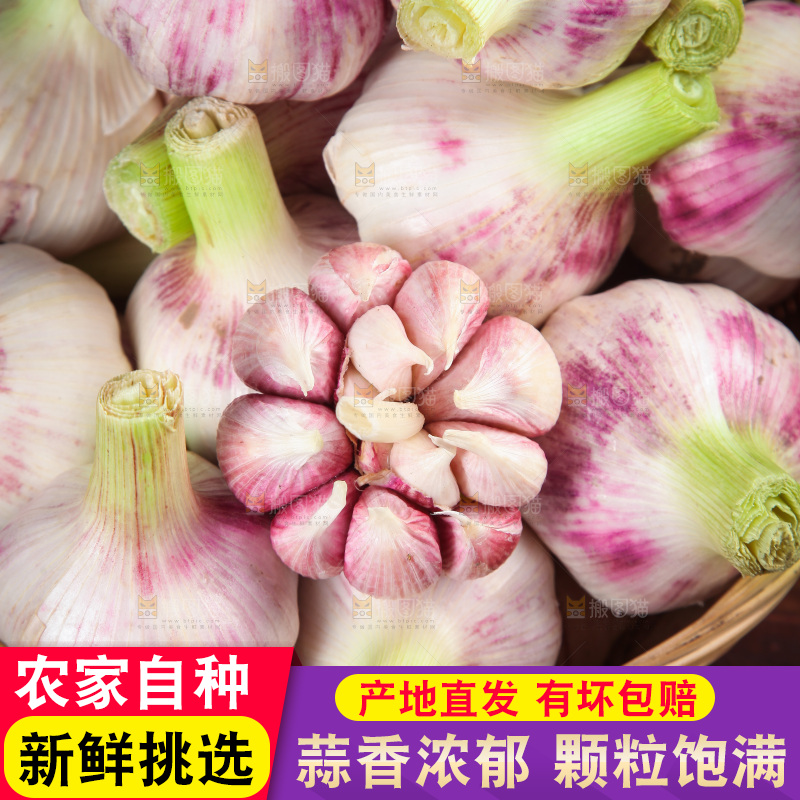 一篮紫皮大蒜