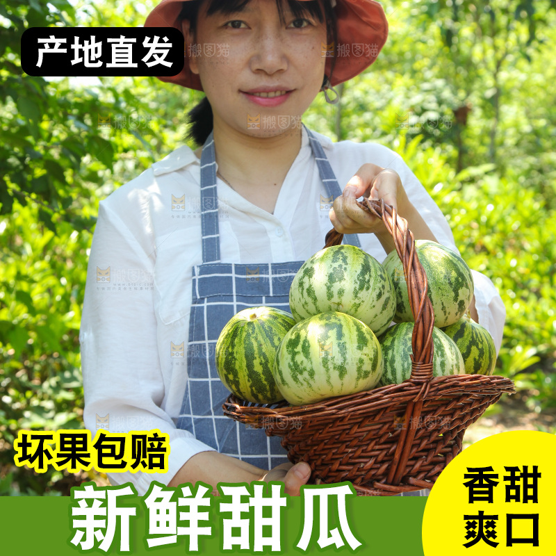 手里提着一篮花蕾香瓜