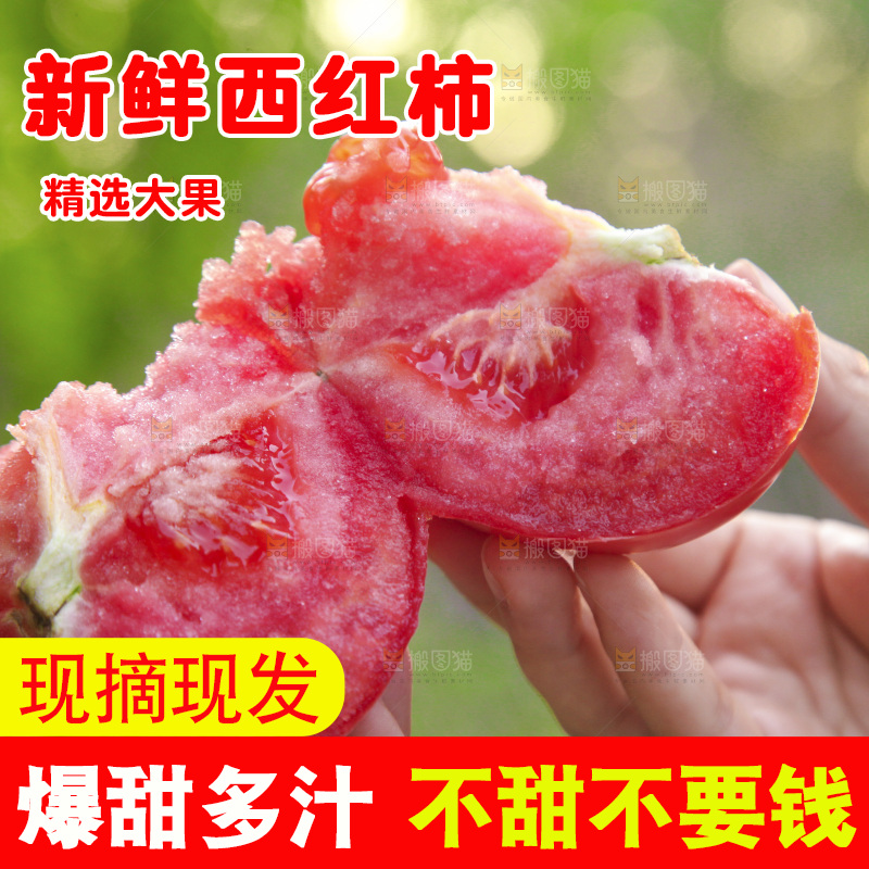 手里拿着沙瓤番茄