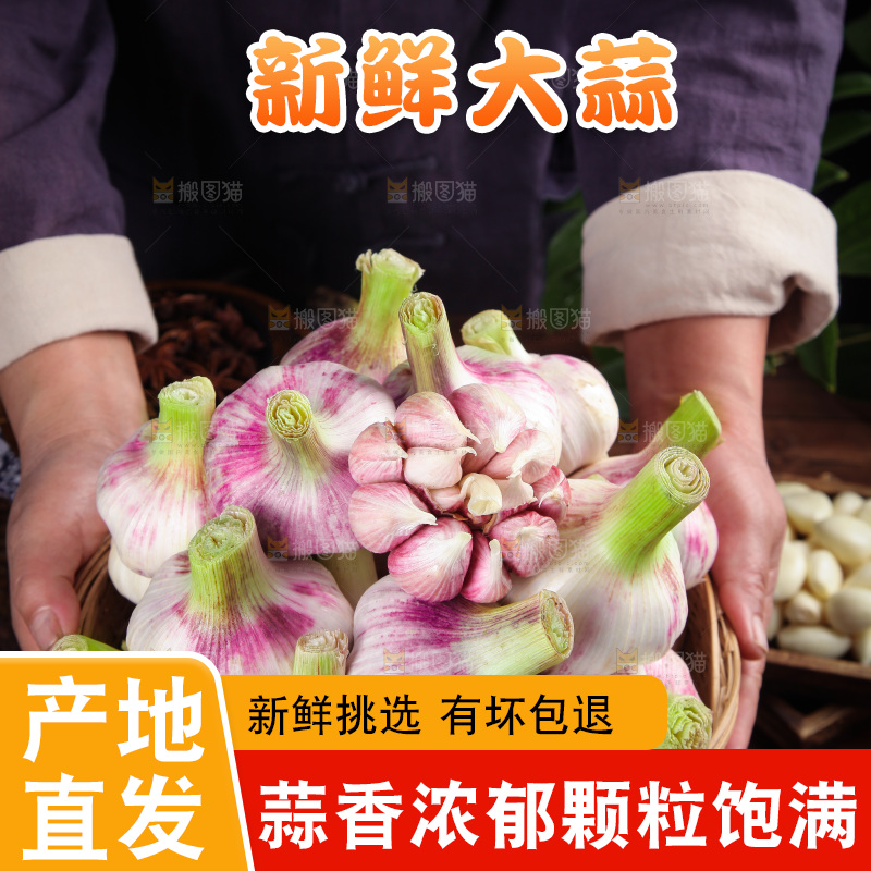 手里端着一篮新鲜大蒜