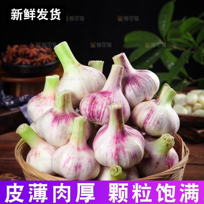 新鲜大蒜主图