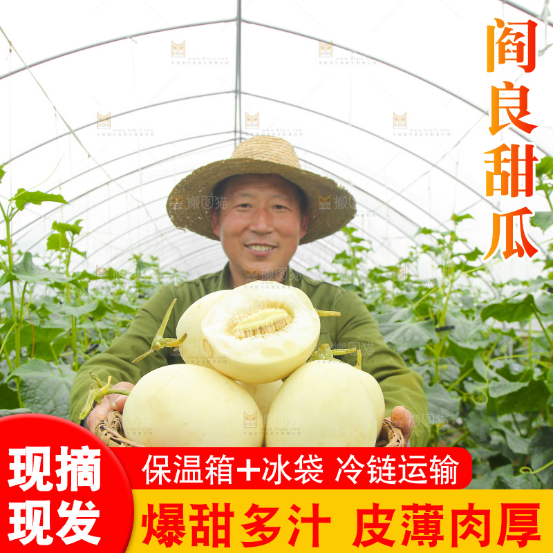 手里端着一篮新鲜阎良甜瓜