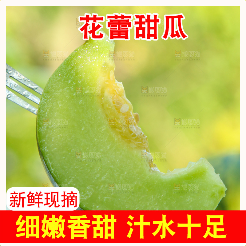 叉子上插甜瓜果肉
